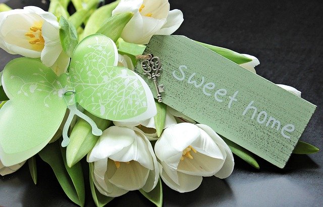 tulipány, motýl, nápis sweet home